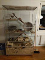 Grosses Glasterrarium 100×50×163 cm, mehrstöckig, teilbar